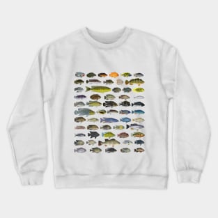 Cichlid Group Crewneck Sweatshirt